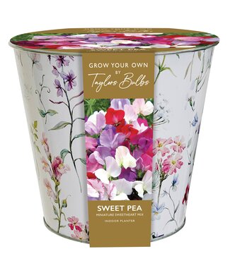 Zinc Floral Sweet Pea Planter