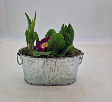 Zinc Tulip Planter 20cm